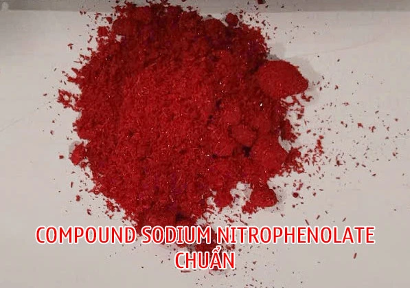 Compound Sodium Nitrophenolate đảm bảo chất lượng (Atonik thật)