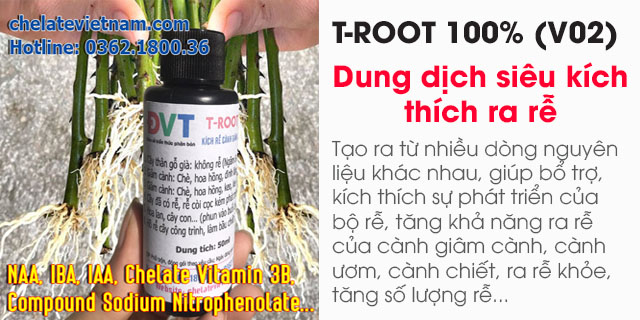 Bán T-ROOT 100% (V02) - Dung dịch siêu kích thích ra rễ