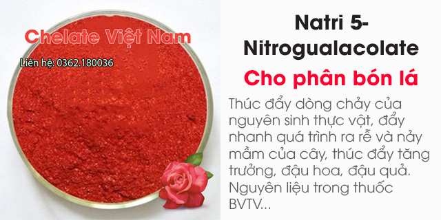 Bán Natri 5-Nitrogualacolate cho phân bón lá - Kích thích tăng trưởng