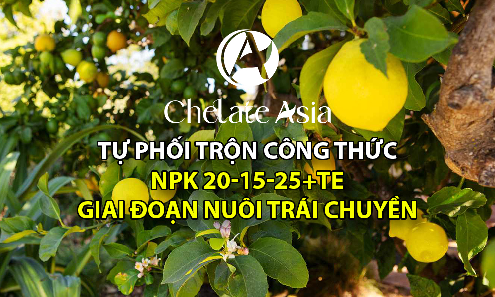 NPK 20-15-25+TE - Tự phối trộn công thức phân bón để nuôi cây có múi nuôi trái chuyền