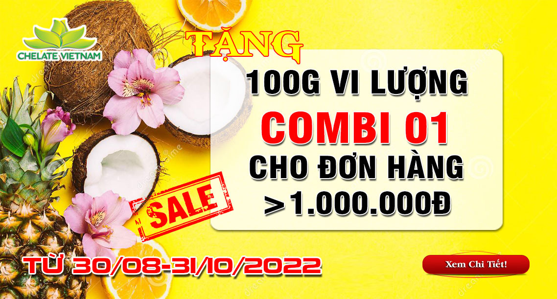 Tặng ngay 100g vi lượng Combi 01 cho đơn hàng có giá trị từ 1.000.000