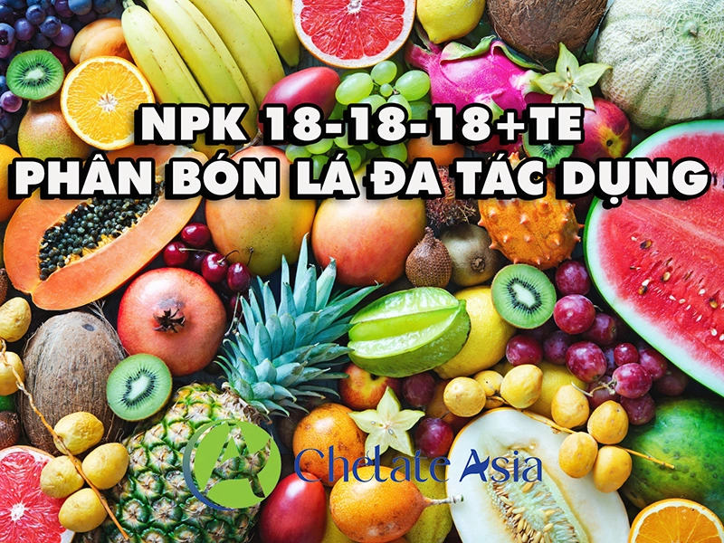 NPK 18-18-18+TE – Phân bón lá đa tác dụng