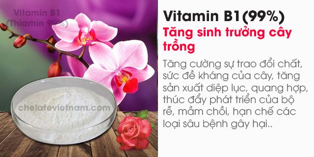 bán Vitamin B1 (Thiamin 99%) nguyên chất (Tăng sinh trưởng cây trồng, vật nuôi)