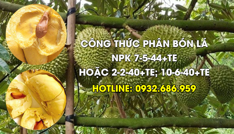 Anh tính giùm em công thức phân bón lá NPK 7-5-44 + Te hoặc 2-2-40 + Te; 10-6-40 + TE