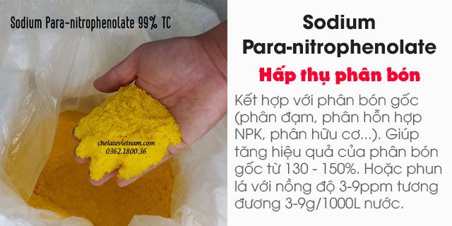 Bán Sodium Para-nitrophenolate 99% TC (kích thích hấp thụ phân bón) tan trong nước