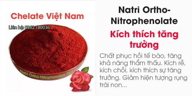 Bán Natri Ortho-Nitrophenolate - chất phục hồi tế bào thực vật, kích thích tăng trưởng