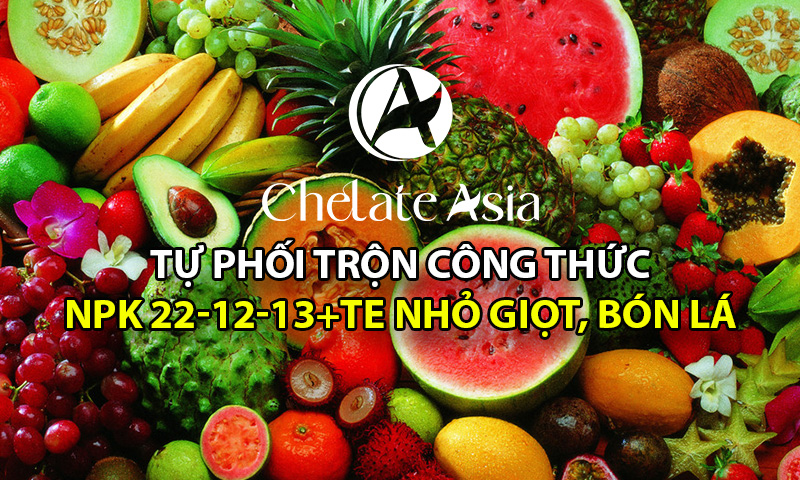 NPK 22-12-13+TE Hướng dẫn tự phối trộn phân bón tưới nhỏ giọt, bón lá hiệu quả