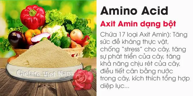 Bán Amino Acid (Axit Amin) 80% dạng bột tan 100%