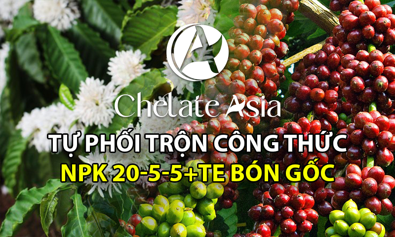 NPK 20-5-5 +TE tự trộn bón gốc chuyên dùng cho mùa mưa, giai đoạn bón thúc.