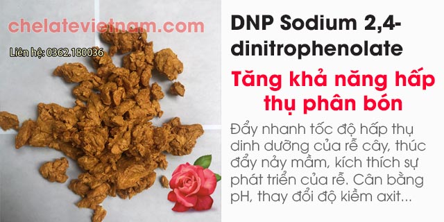 Bán https://chelate.com.vn/dnp-sodium-2-4-dinitrophenolate-tang-kha-nang-hap-thu-phan-bon-natri-2-4-dinitrophenate.html