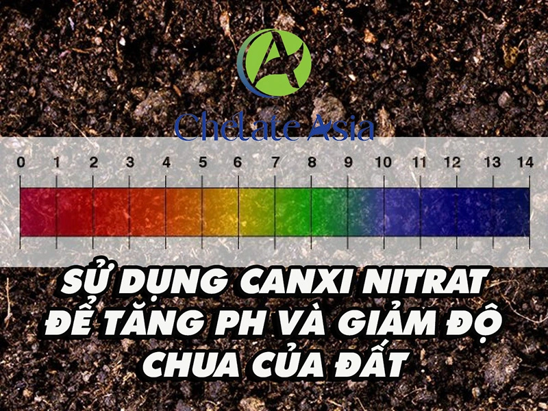 Sử dụng canxi nitrat để tăng pH và giảm độ chua của đất