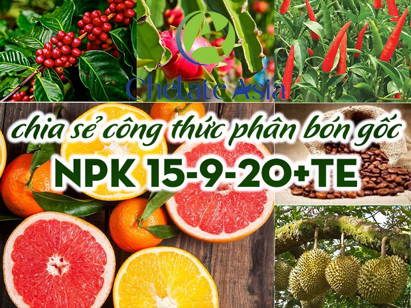 NPK 15-9-20+TE - Chia sẻ công thức phân bón gốc