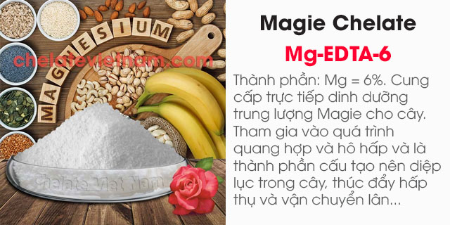 Bán Magie Chelate (Mg-EDTA-6) tan hoàn toàn trong nước