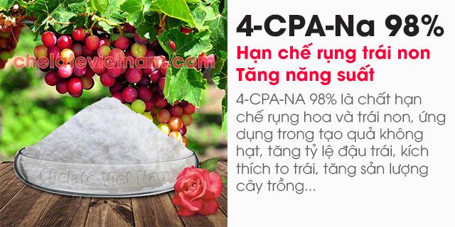 Bán 4-CPA-Na 98% (Hạn chế rụng trái non, tăng năng suất)