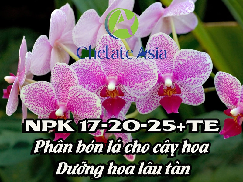 NPK 17-20-25+TE Phân bón lá cho cây hoa – Dưỡng hoa lâu tàn