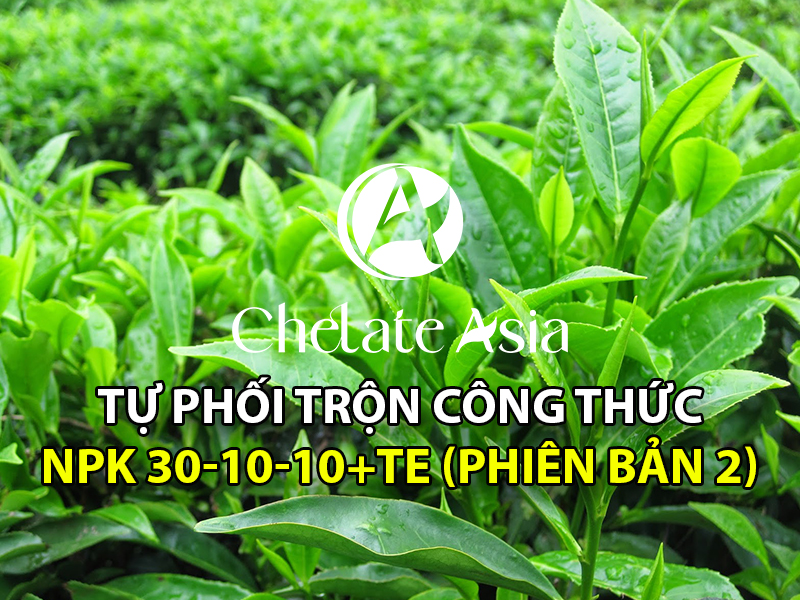 Công thức NPK 30-10-10+TE phiên bản 2