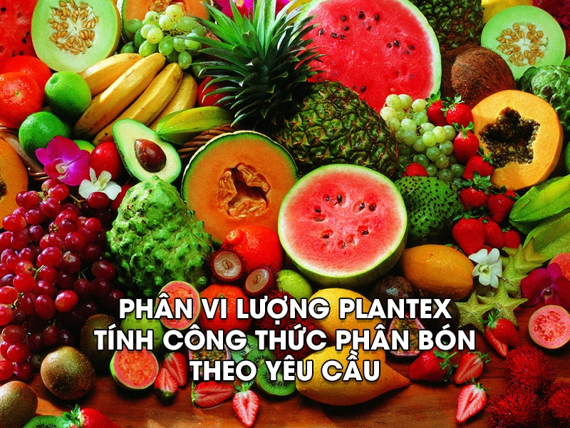 Tính công thức phân bón vi lượng Plantex