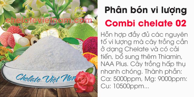 Bán Phân bón vi lượng Combi Chelate 02 (Thiamin, NAA Plus)