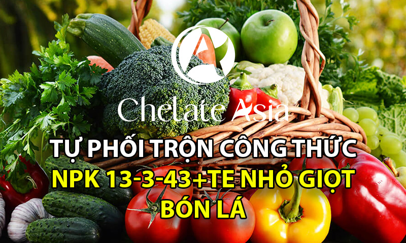 NPK 13-3-43 Tự phối trộn phân bón tưới nhỏ giọt phù hợp cho giai đoạn nuôi trái, tạo ngọt