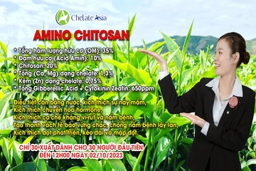 Chỉ có 30 suất cho 30 người đăng ký đầu tiên AMINO-CHITOSAN