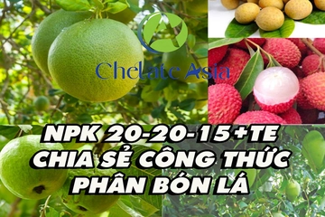 NPK 20-20-15+TE - Chia sẻ công thức phân bón lá