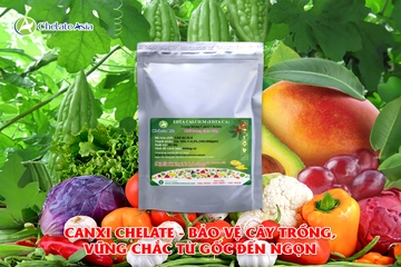 Trung lượng Chelate: Chìa khóa vàng cho sự phát triển mạnh mẽ của cây trồng