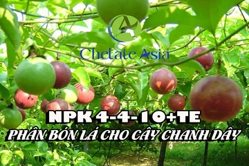 NPK 4-4-10+TE – Phân bón lá cho cây Chanh dây