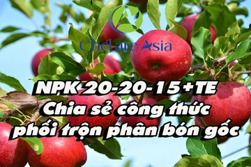 NPK 20-20-15+TE - Chia sẻ công thức phối trộn phân bón gốc