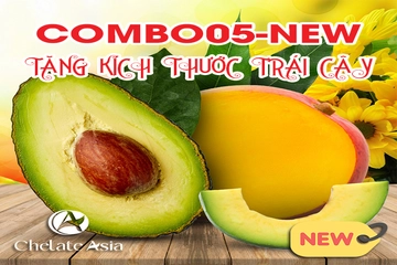 Ứng dụng combo 05-new trong nông nghiệp giúp cải thiện kích thước và quản lý giai đoạn rụng trái hiệu quả.