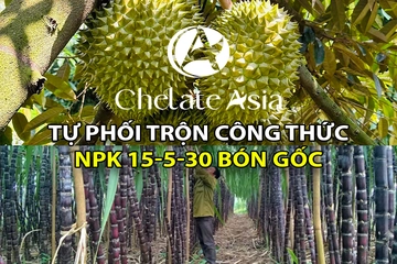 Chia sẻ công thức tự phối trộn NPK 15-5-30 bón gốc đơn giản ai cũng làm được