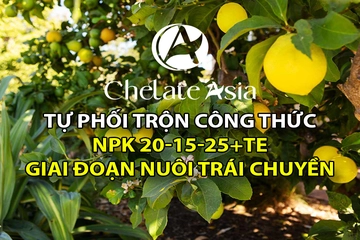 NPK 20-15-25+TE - Tự phối trộn công thức phân bón để nuôi cây có múi nuôi trái chuyền