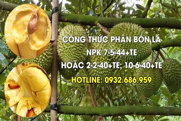 NPK 7-5-44 + Te hoặc 2-2-40 + TE; 10-6-40 + TE Anh tính giùm em 2 công thức phân bón lá này với