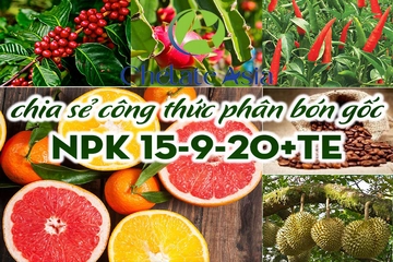 NPK 15-9-20+TE - Chia sẻ công thức phân bón gốc