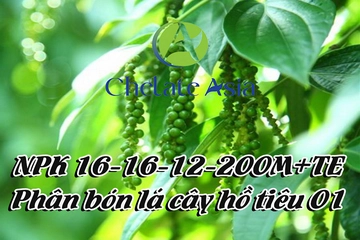 NPK 16-16-12-20OM+TE Phân bón lá cây hồ tiêu 01