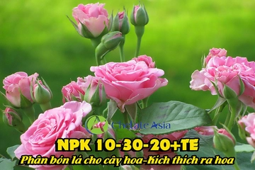 NPK 10-30-20+TE Phân bón lá cho cây hoa – Kích thích ra hoa