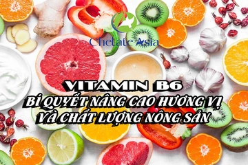 Vitamin B6: Bí quyết nâng cao hương vị và chất lượng nông sản