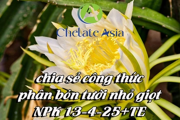 NPK 13-4-25+TE - Chia sẻ công thức phối trộn phân bón tưới nhỏ giọt