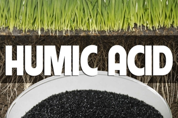 Tìm hiểu về Axit humic