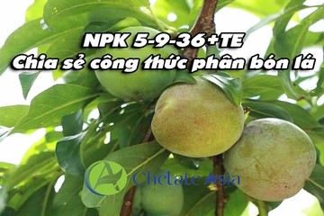 NPK 5-9-36+TE - Chia sẻ công thức phân bón lá