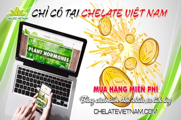 Cách mua hàng miễn phí tại Chealte Việt Nam (chelatevietnam.com)