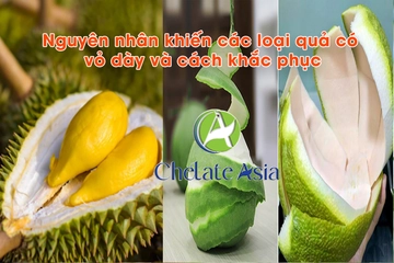 Nguyên nhân khiến các loại quả có vỏ dày và cách khắc phục