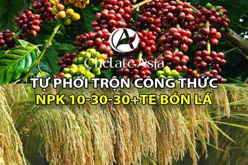 NPK 10-30-30+TE - Tự phối trộn phân bón lá cho cây giai đoạn chuẩn bị ra hoa và nuôi trái