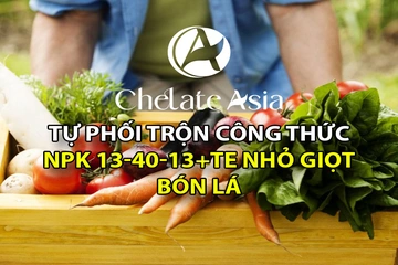 NPK 13-40-13+TE - Tự phối trộn phân bón lá, tưới nhỏ giọt tan hoàn toàn cực kỳ đơn giản