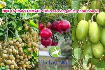 NPK 16-12-8-21OM+TE - Chia sẻ công thức phân bón lá