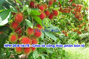 NPK 20-8-16+TE - Chia sẻ công thức phân bón lá