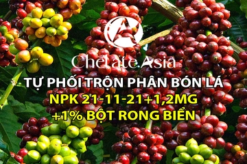 NPK 21-11-21+1,2% Magie + 1% bột rong biển - Tự phối trộn phân bón lá hiệu quả