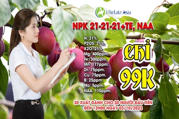 NPK 21-21-21+TE NAA Plus - Chỉ có 30 suất cho 30 người đăng ký đầu tiên 99k/kg