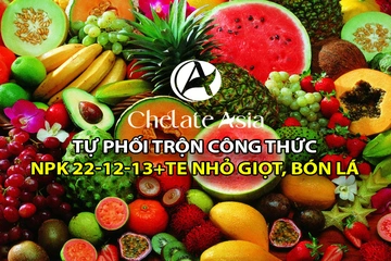 NPK 22-12-13+TE Hướng dẫn tự phối trộn phân bón tưới nhỏ giọt, bón lá hiệu quả