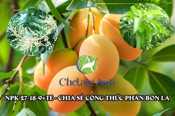 NPK 27-18-9+TE - Chia sẻ công thức phân bón lá