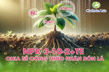 NPK 3-10-2+TE – Chia sẻ công thức phân bón lá